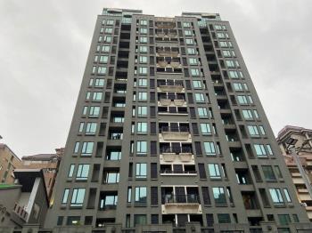 近北士科鄉林層峰