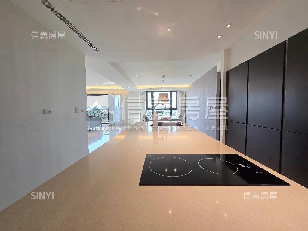 河岸第一排大宅天景高樓層房屋室內格局與周邊環境