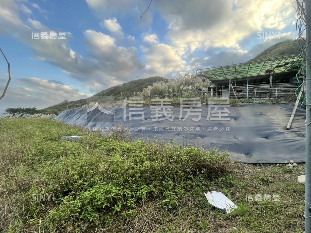 稀有金山臨路農地房屋室內格局與周邊環境