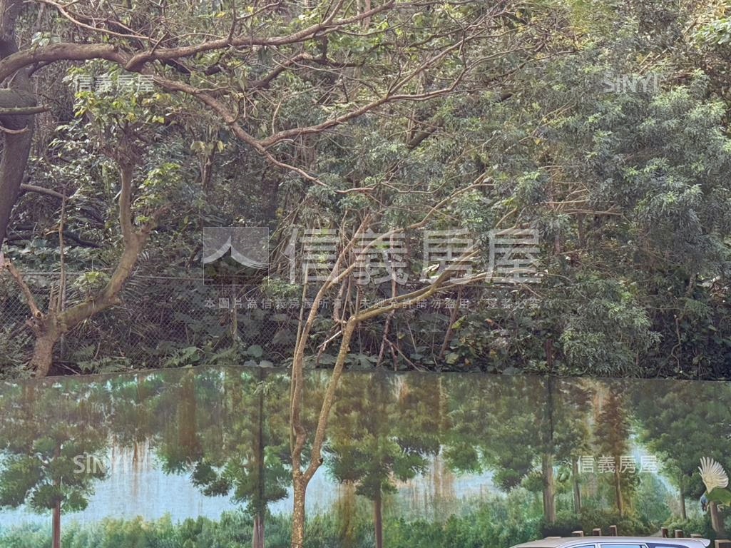 臥龍邊間大面寬住辦房屋室內格局與周邊環境