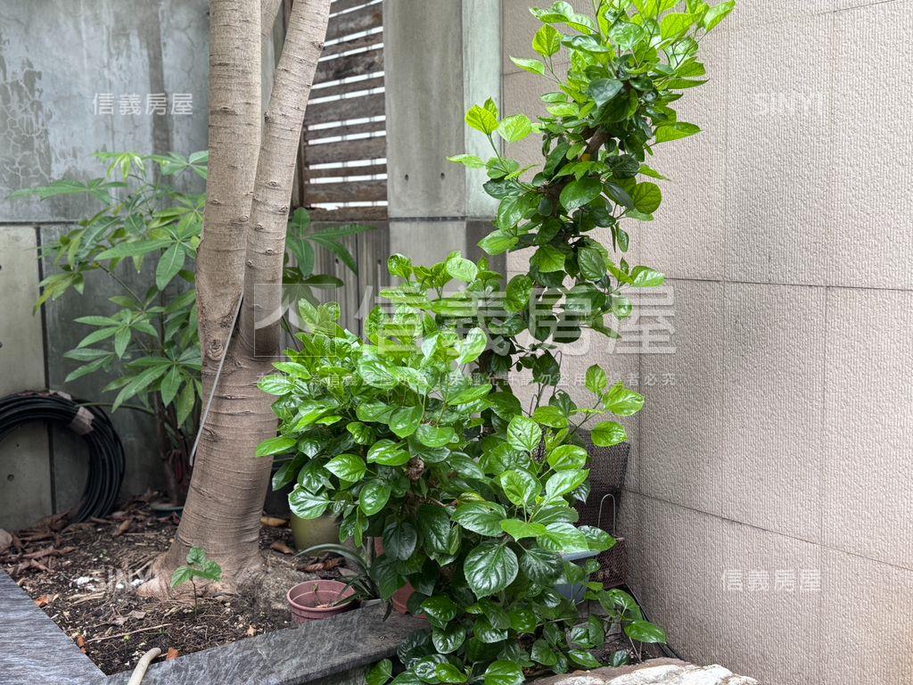 永康好讚！稀有大地坪廠房房屋室內格局與周邊環境