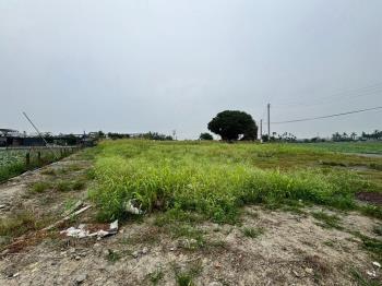 崁頂鄉‧越溪段土地