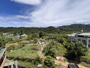 大溪康莊路退休收租美宅