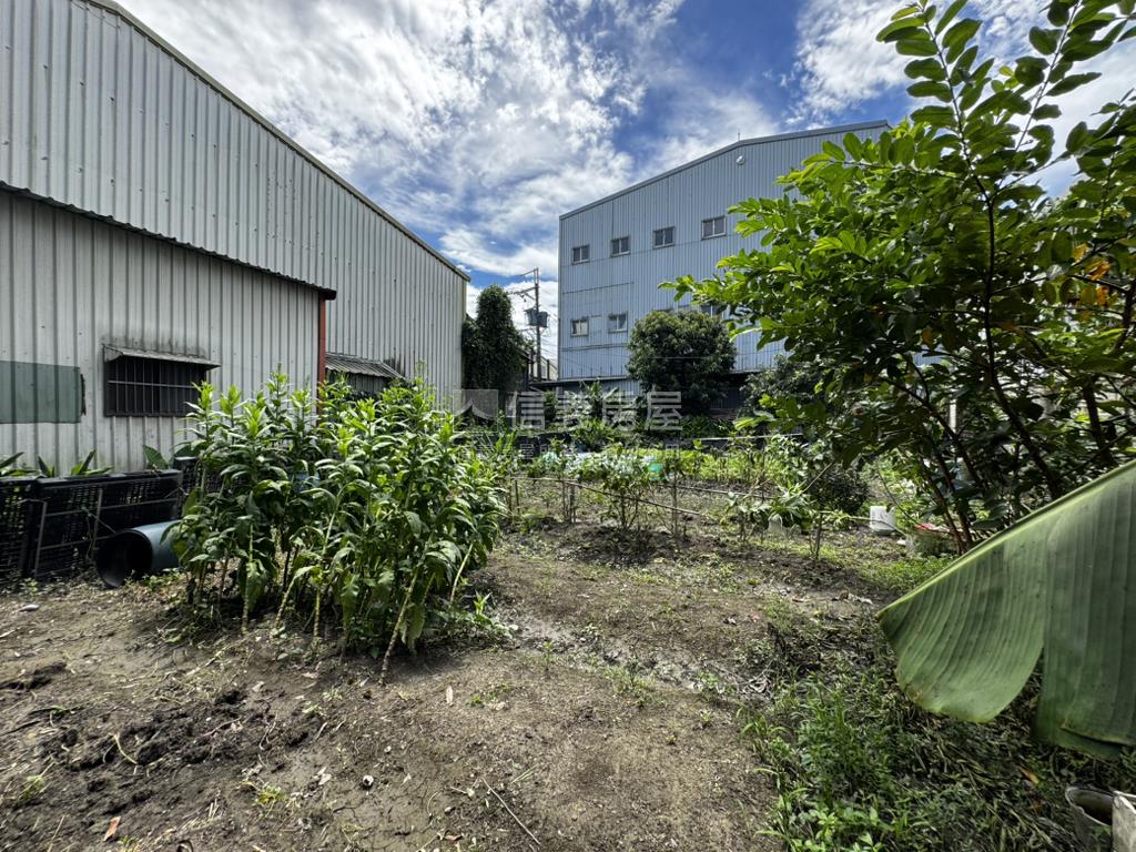 田尾街農地房屋室內格局與周邊環境