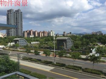 眺望森林公園徜徉水樹之間