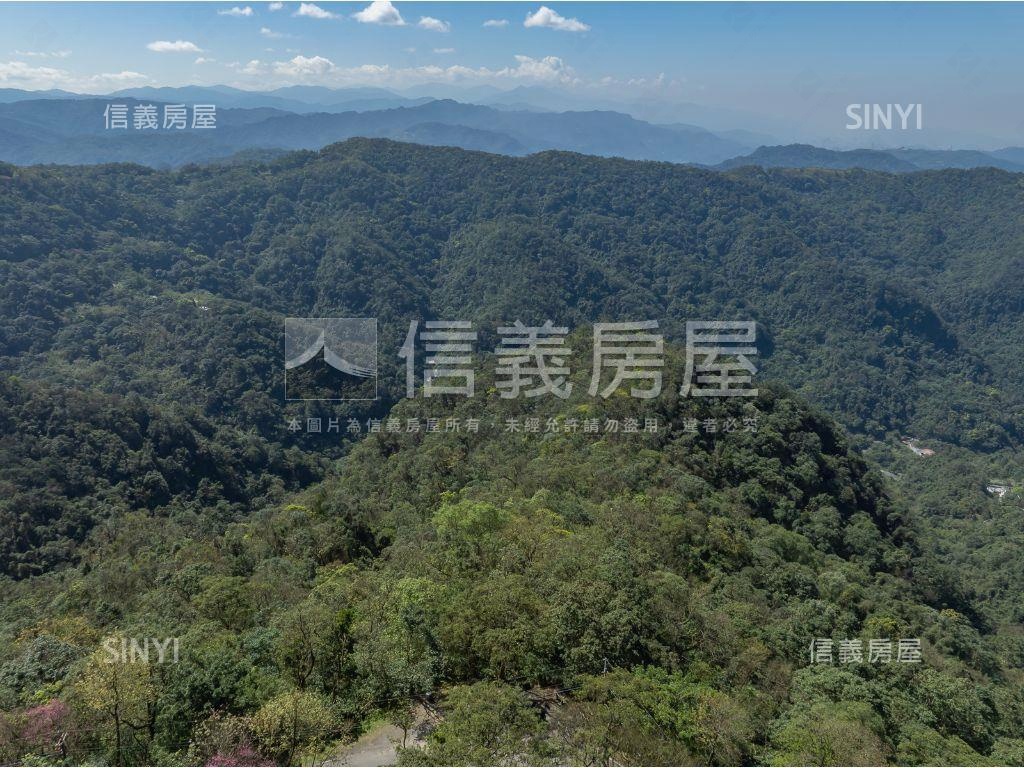 ✿稀有低總價種茶土地✿房屋室內格局與周邊環境