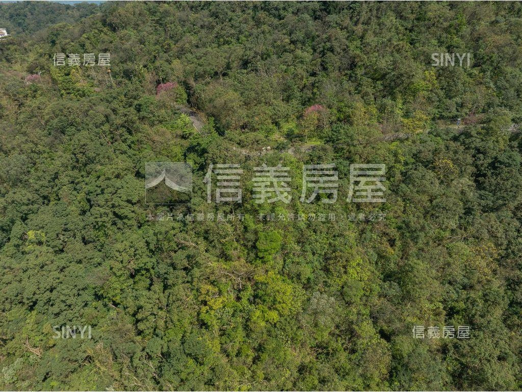 ✿稀有低總價種茶土地✿房屋室內格局與周邊環境