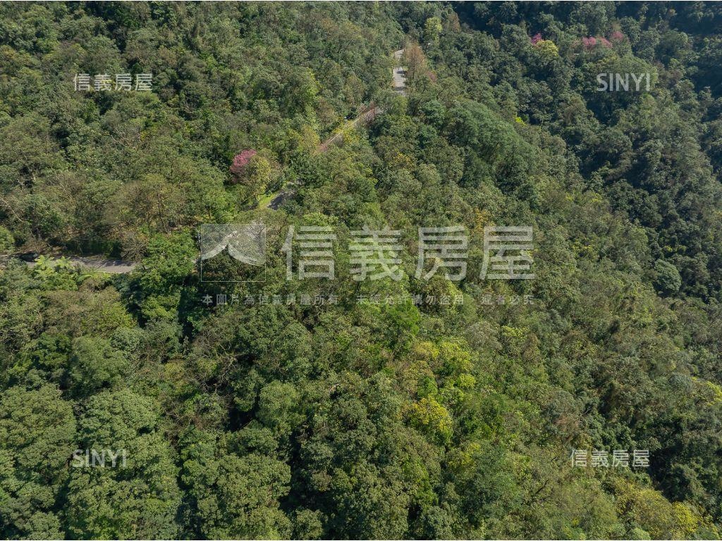 ✿稀有低總價種茶土地✿房屋室內格局與周邊環境