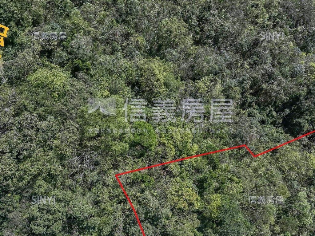 ✿稀有低總價種茶土地✿房屋室內格局與周邊環境