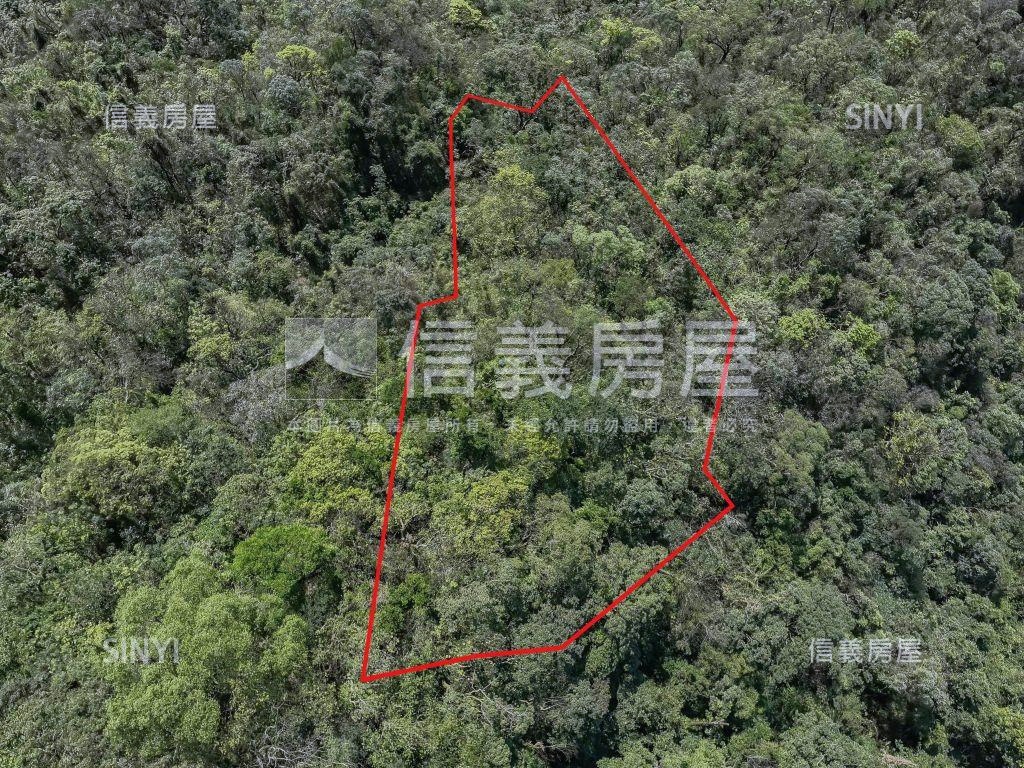 ✿稀有低總價種茶土地✿房屋室內格局與周邊環境