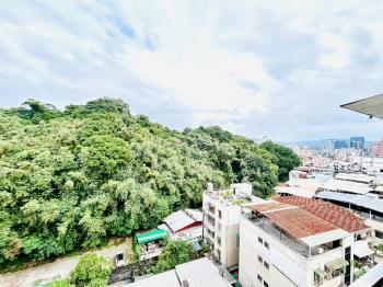 明湖邊間綠意景致電梯三房