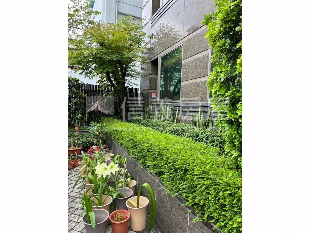 ⭐信義君址⭐房屋室內格局與周邊環境
