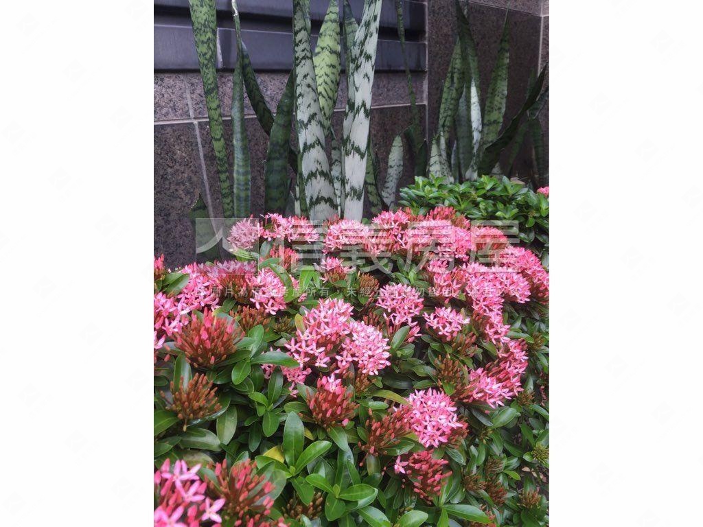 ⭐信義君址⭐房屋室內格局與周邊環境