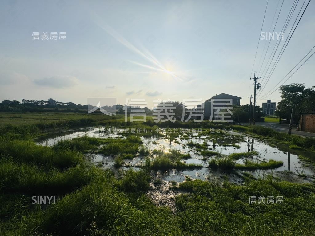 青埔｜農地７６１坪有資材房屋室內格局與周邊環境