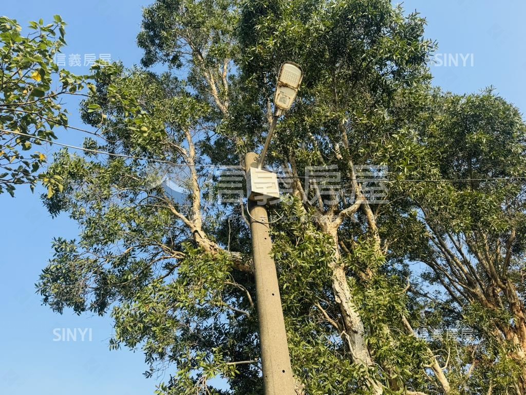 青埔｜農地７６１坪有資材房屋室內格局與周邊環境