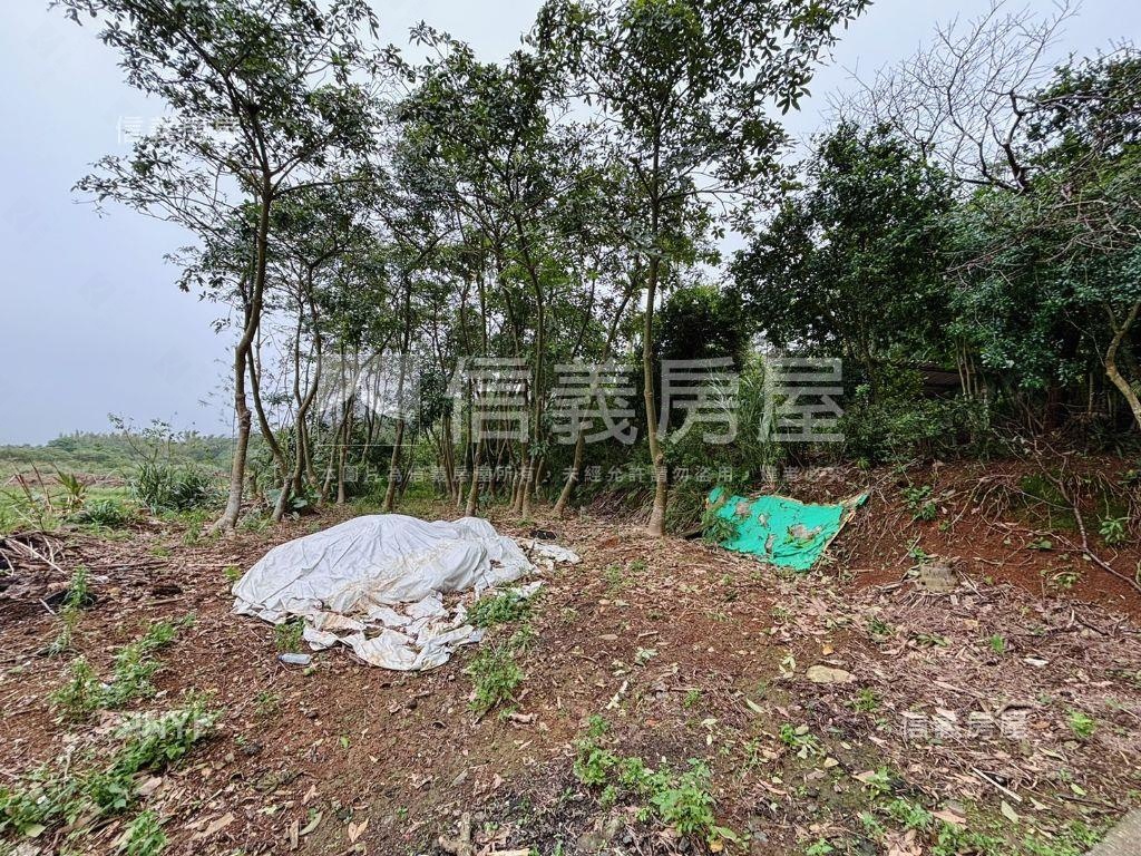 ★下圭柔山臨路土地房屋室內格局與周邊環境