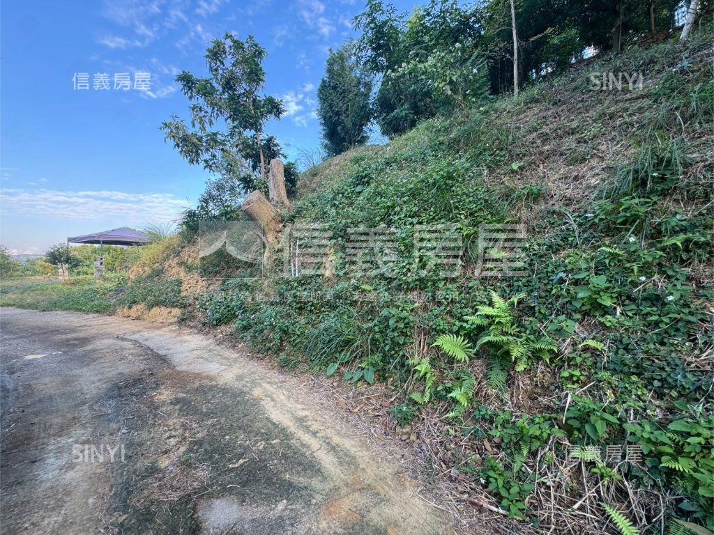 太平景觀休閒農牧用地房屋室內格局與周邊環境