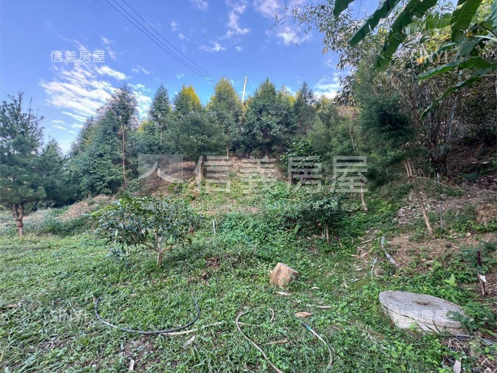 太平景觀休閒農牧用地房屋室內格局與周邊環境