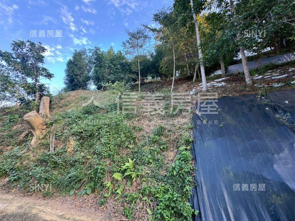 太平景觀休閒農牧用地房屋室內格局與周邊環境