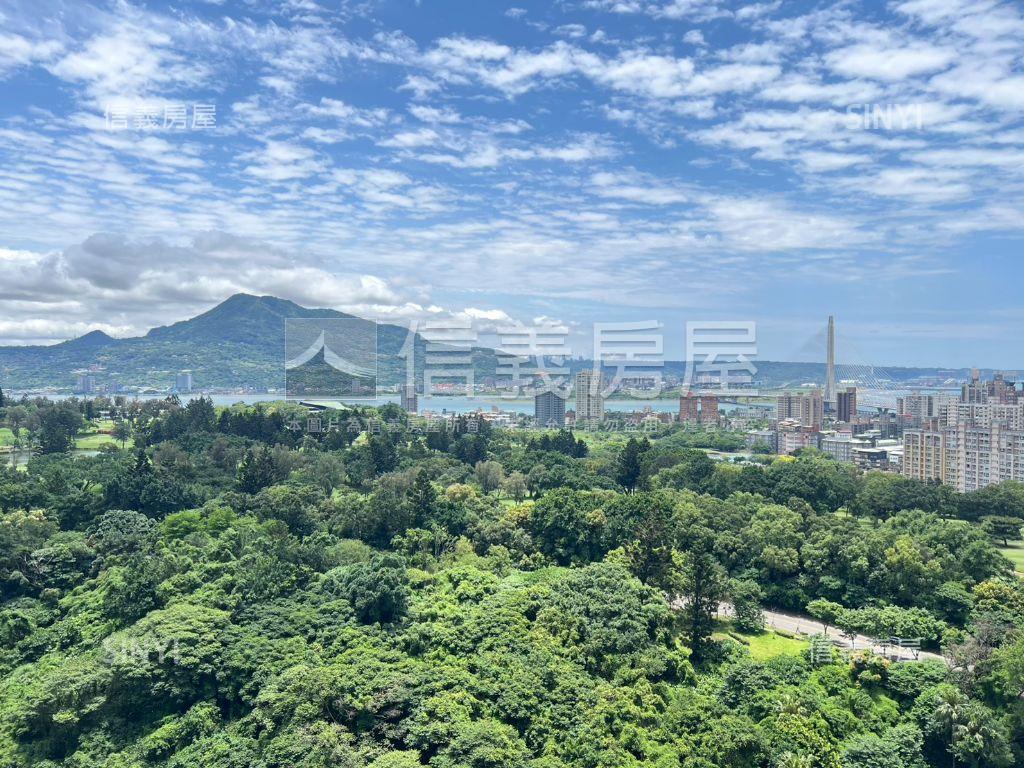 極．觀海精裝大戶．景房屋室內格局與周邊環境