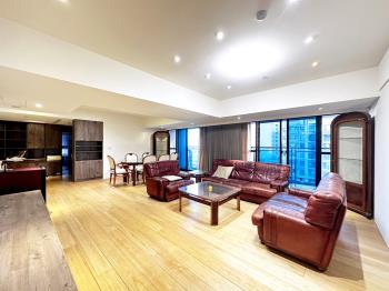 世紀都心★稀有高樓大戶