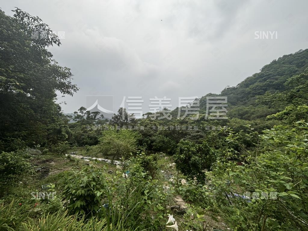 開心農場土地山水如畫房屋室內格局與周邊環境