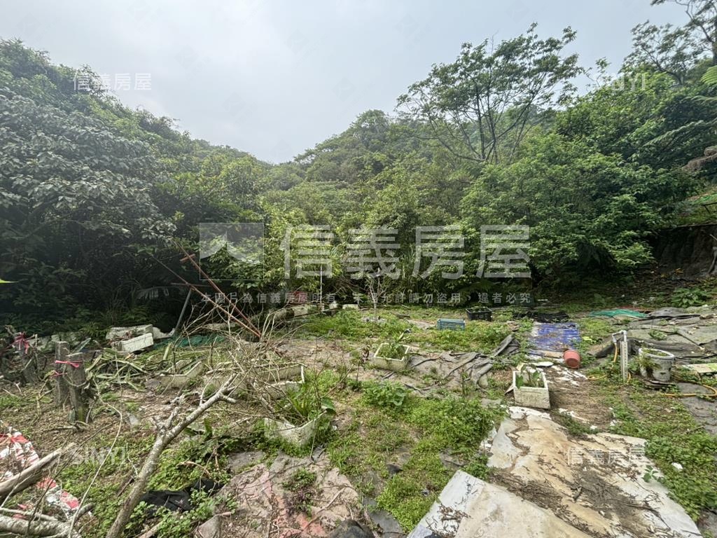 開心農場土地山水如畫房屋室內格局與周邊環境