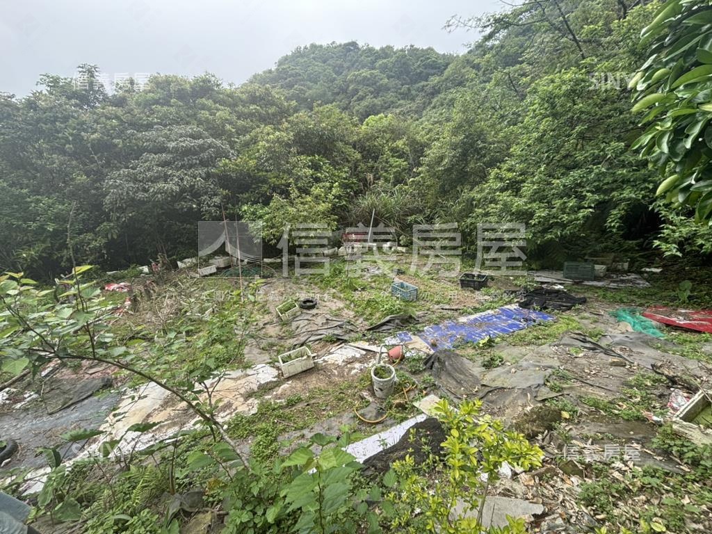 開心農場土地山水如畫房屋室內格局與周邊環境