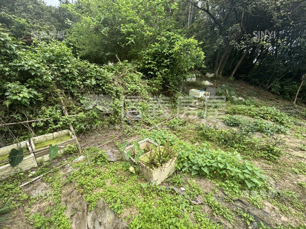 開心農場土地山水如畫房屋室內格局與周邊環境