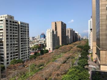 敦南綠蔭１０１美景高樓