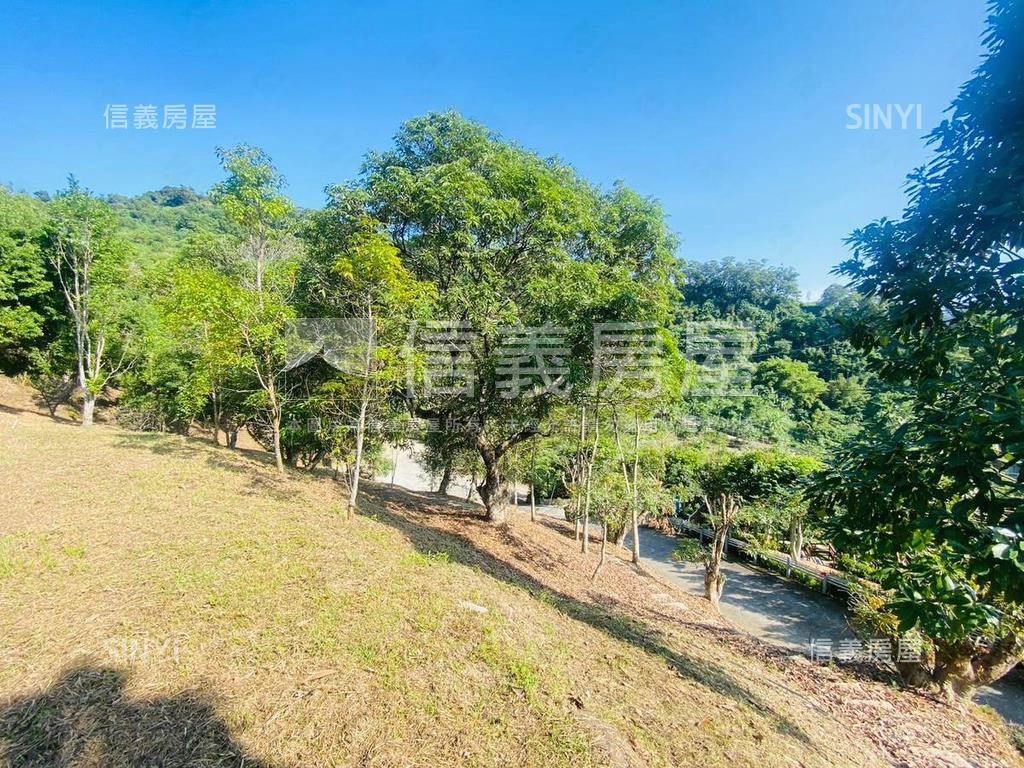 綠意盎然愜意土地房屋室內格局與周邊環境