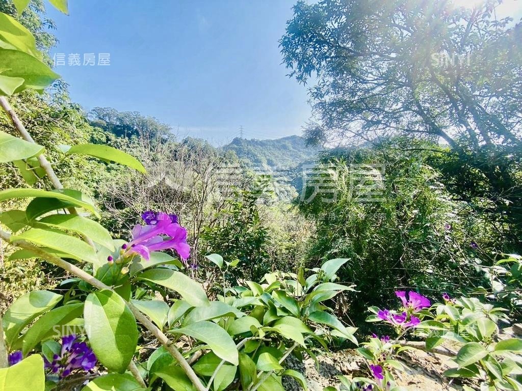 綠意盎然愜意土地房屋室內格局與周邊環境