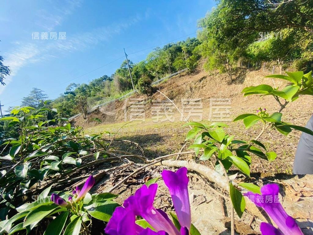 綠意盎然愜意土地房屋室內格局與周邊環境
