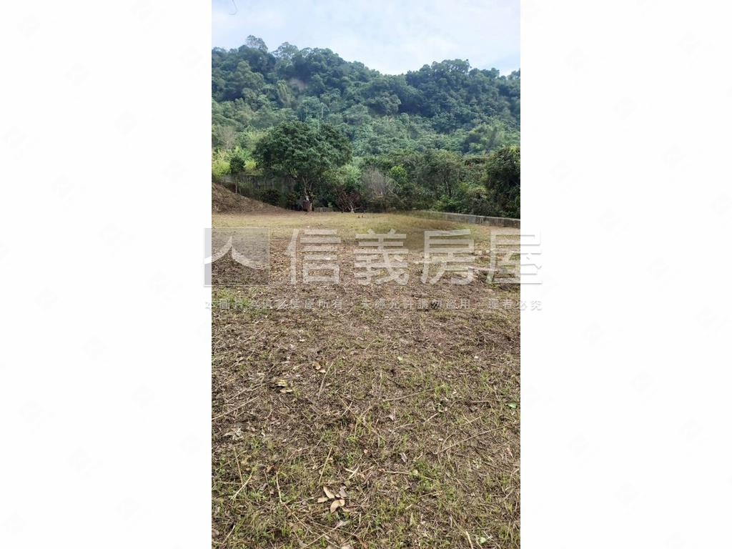 綠意盎然愜意土地房屋室內格局與周邊環境