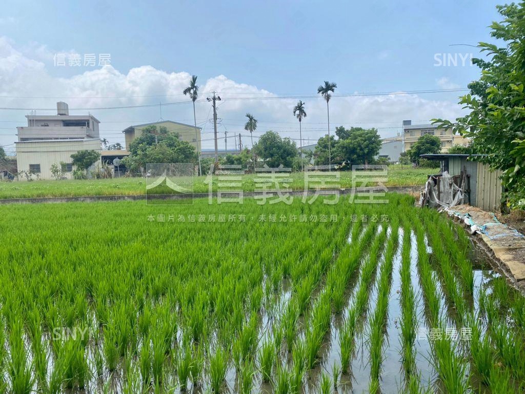 大雅土地房屋室內格局與周邊環境