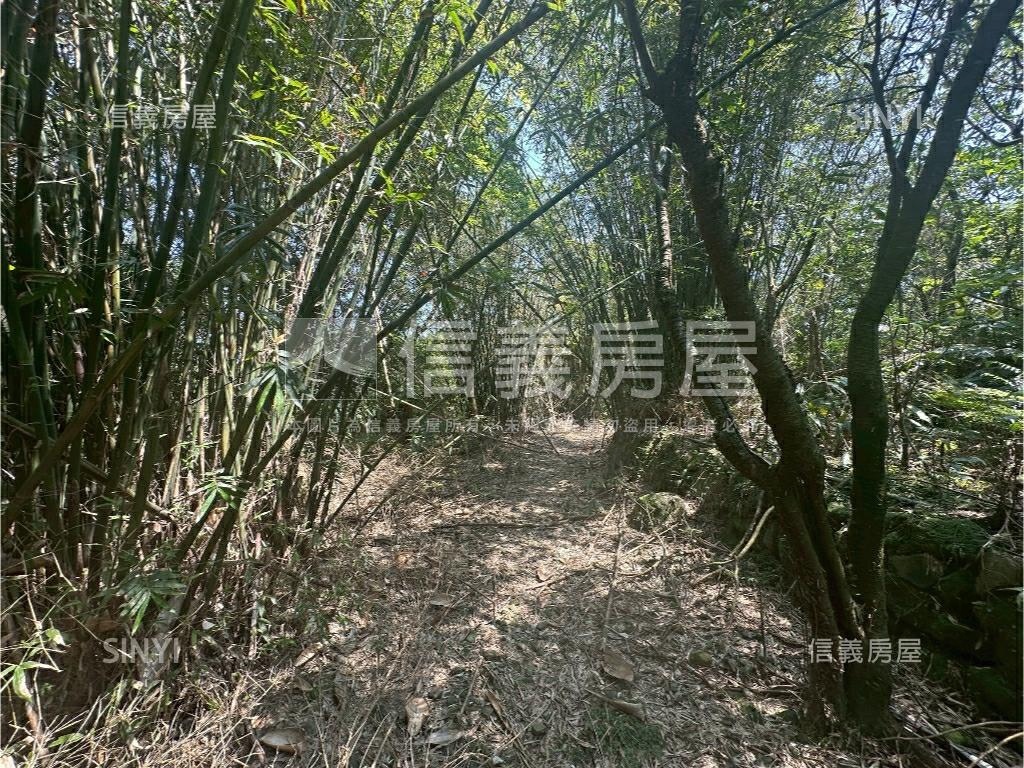 陽明山土地壹房屋室內格局與周邊環境