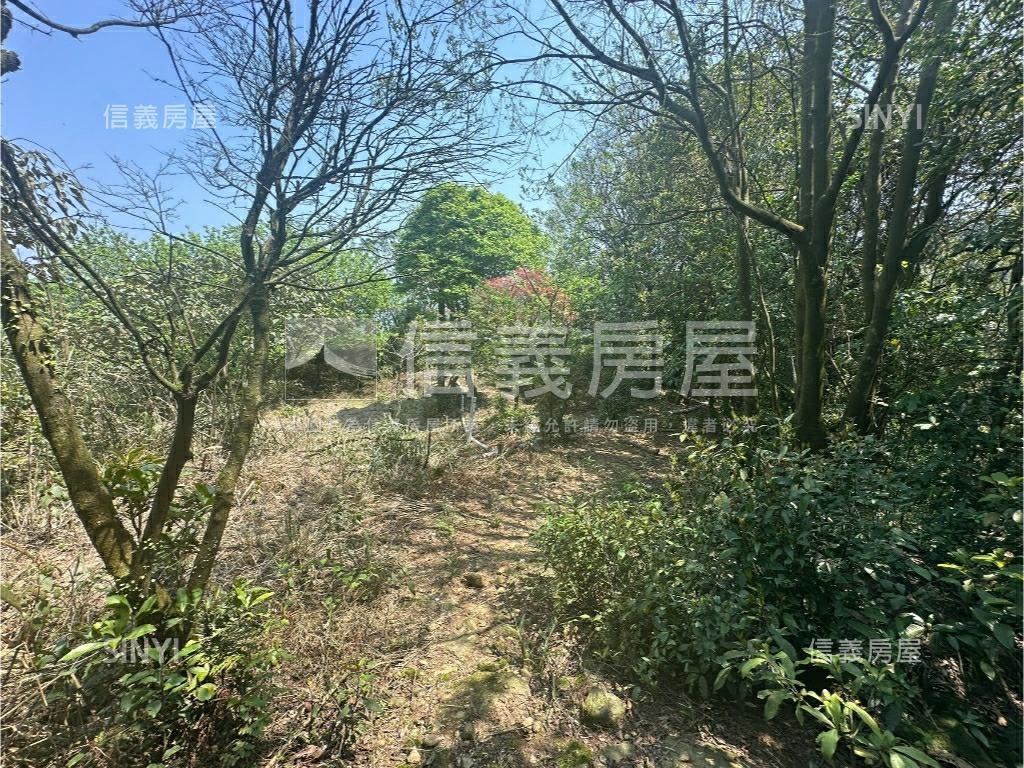 陽明山土地壹房屋室內格局與周邊環境
