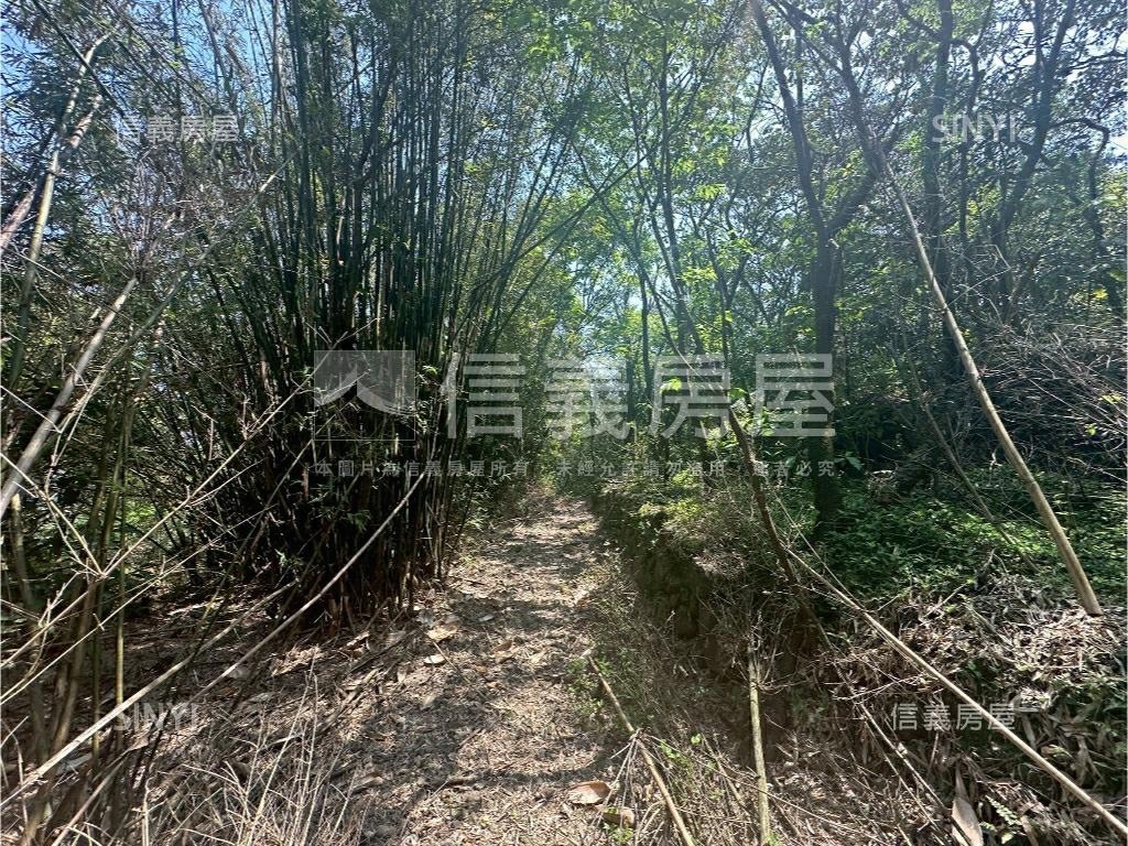 陽明山土地壹房屋室內格局與周邊環境