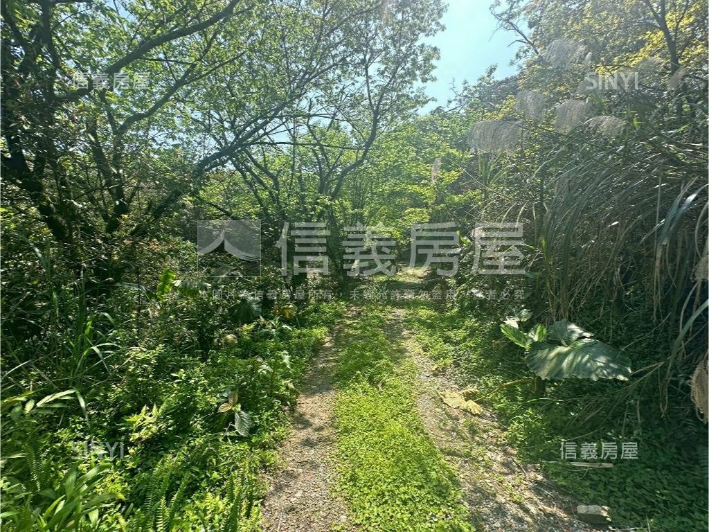 陽明山土地壹房屋室內格局與周邊環境