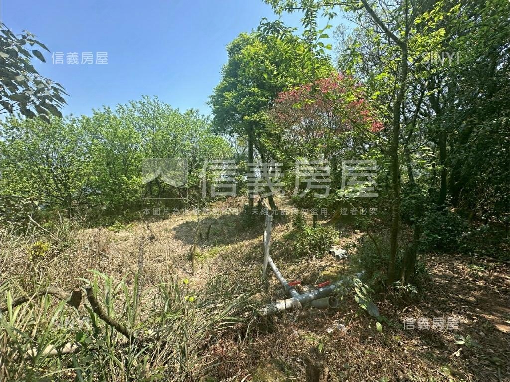 陽明山土地壹房屋室內格局與周邊環境