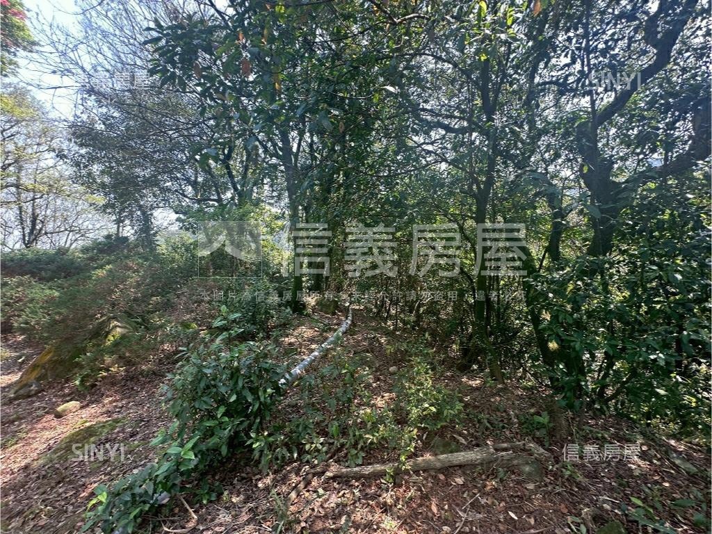陽明山土地壹房屋室內格局與周邊環境