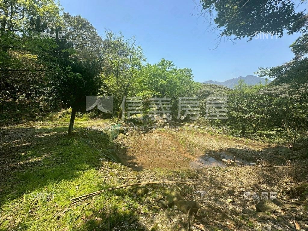 陽明山土地壹房屋室內格局與周邊環境