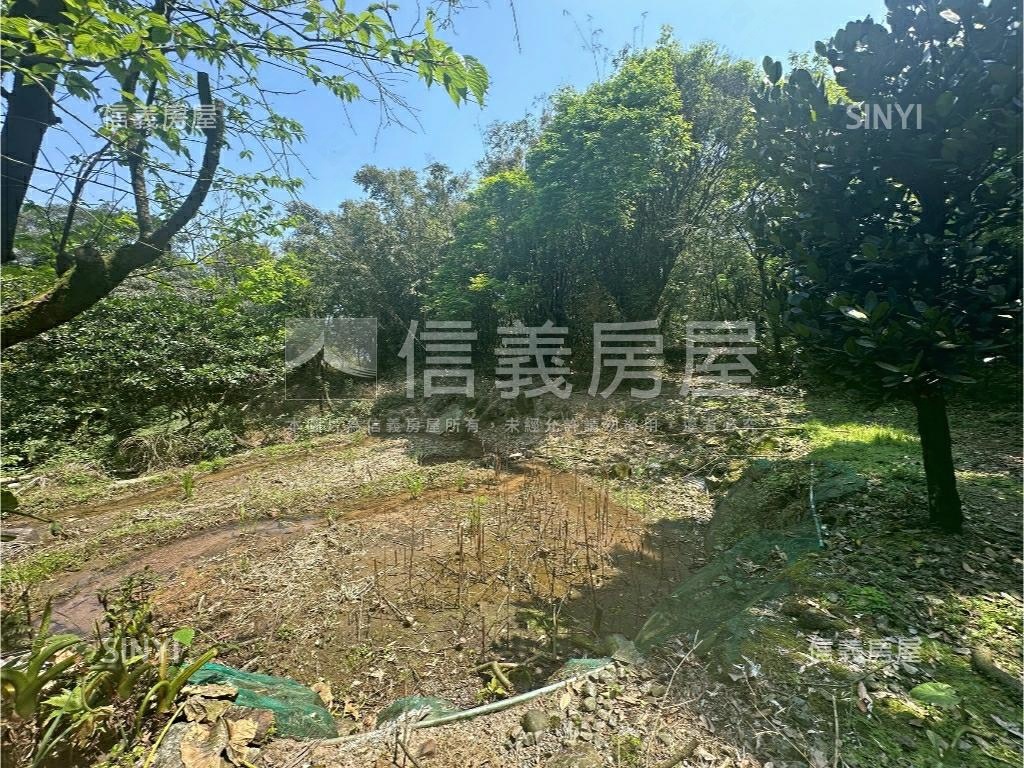 陽明山土地壹房屋室內格局與周邊環境
