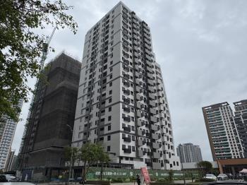 大亮波波高樓釋出