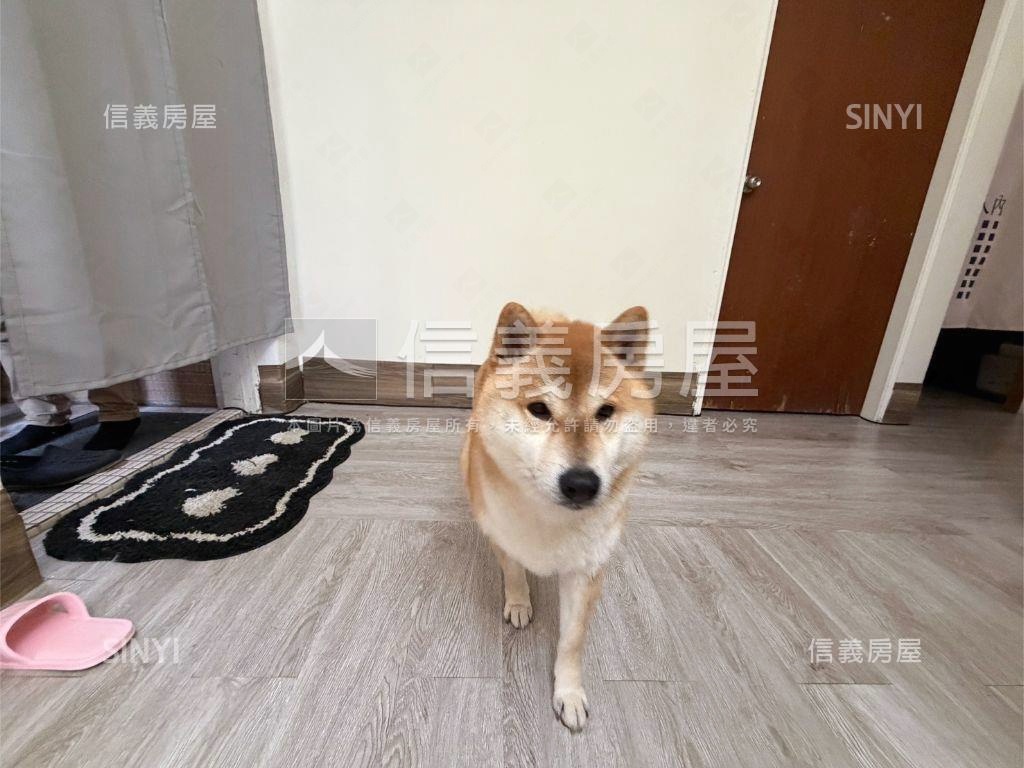 安泰美寓靜巷四房房屋室內格局與周邊環境