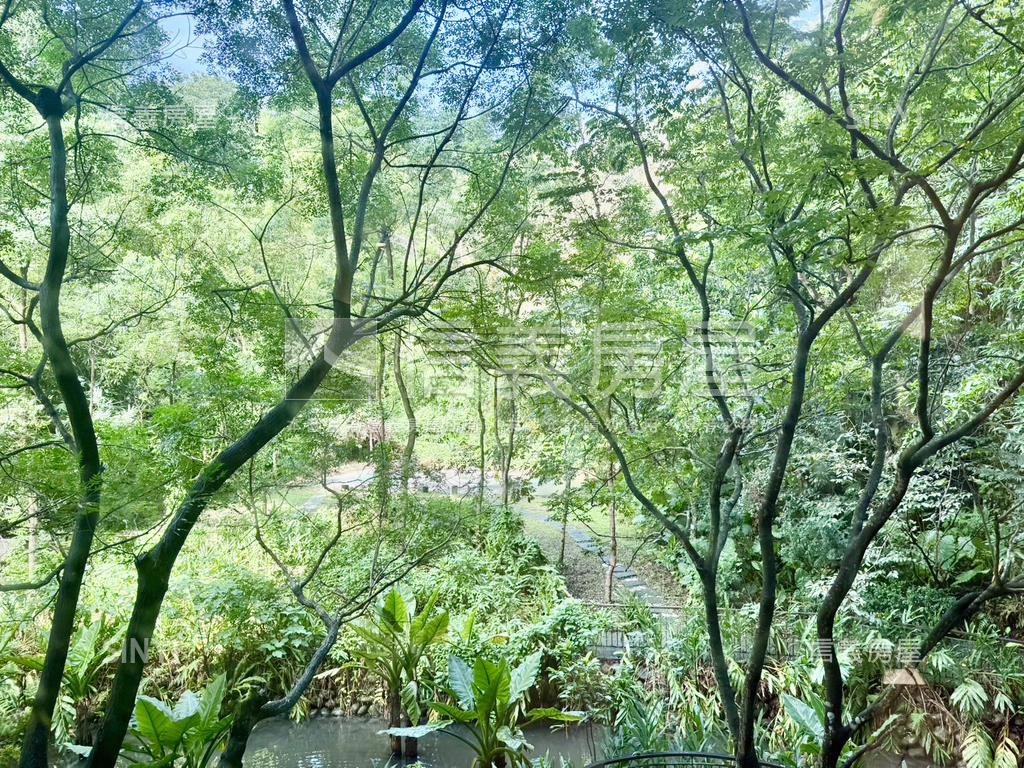 陽光ＰＡＲＫ稀有綠景房屋室內格局與周邊環境