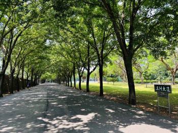 真理大學一樓公寓