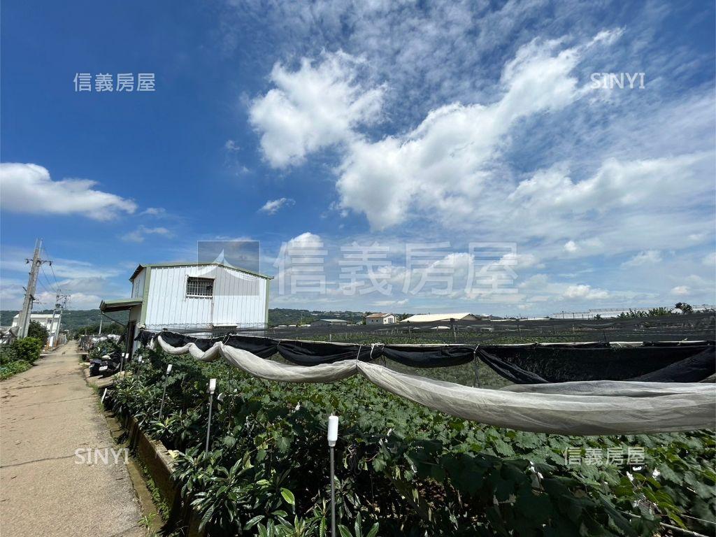 新社近大南國小方正農地房屋室內格局與周邊環境