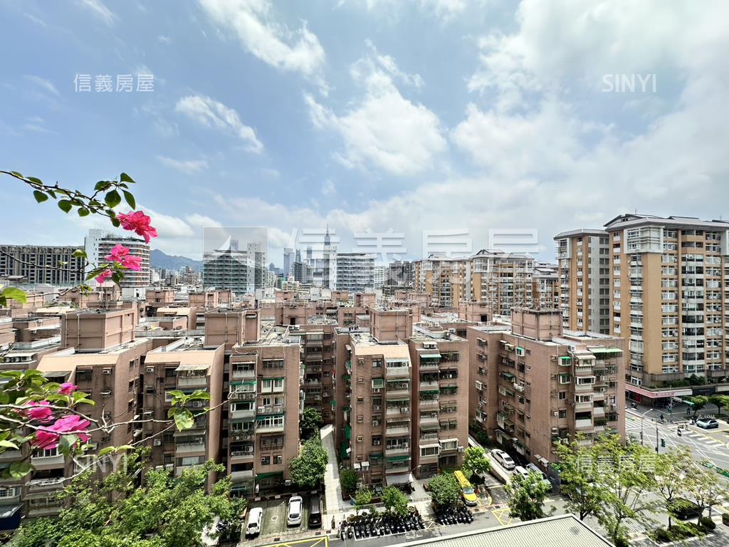 健安新城朝南景觀大戶房屋室內格局與周邊環境