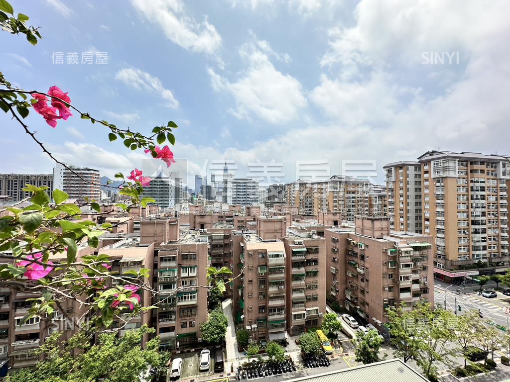 健安新城朝南景觀大戶房屋室內格局與周邊環境